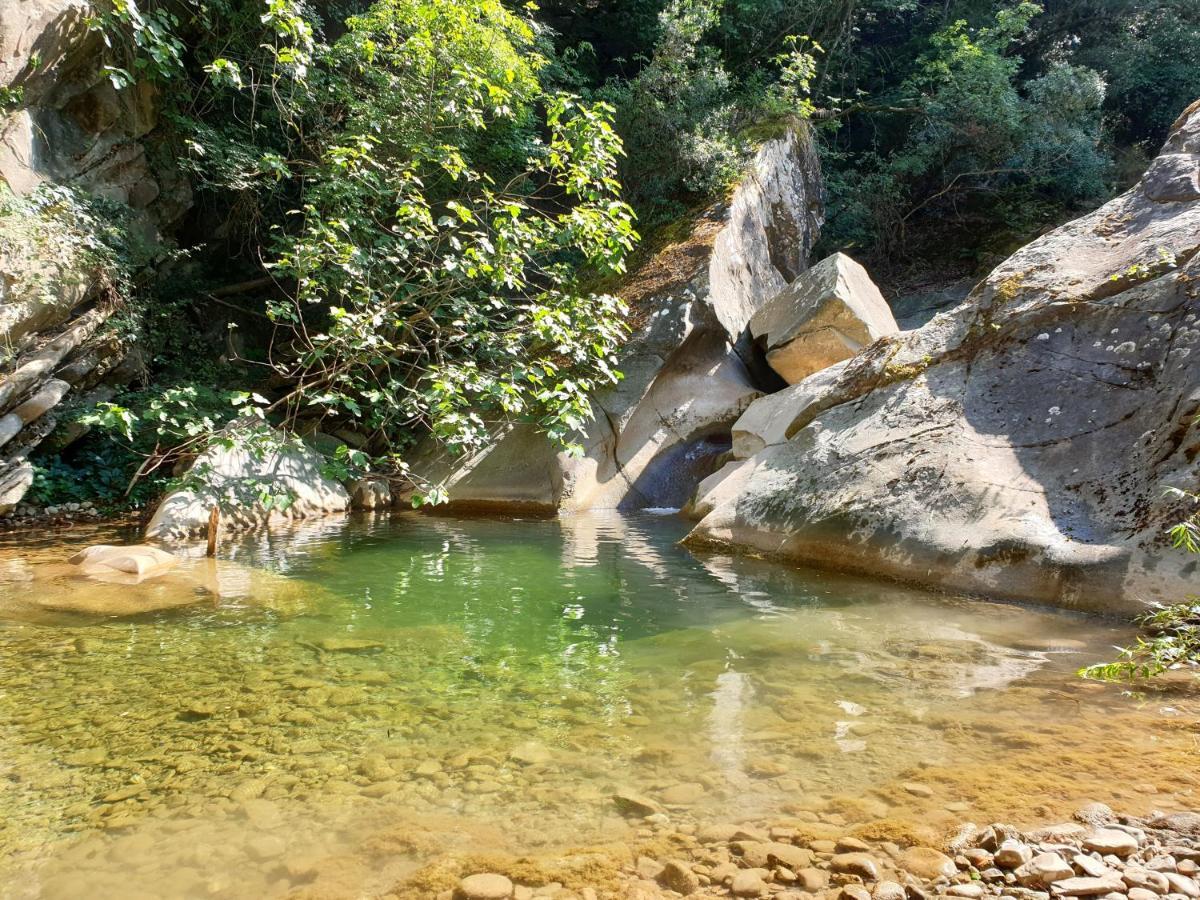 Casa L'Oca Villa Figline Valdarno Dış mekan fotoğraf